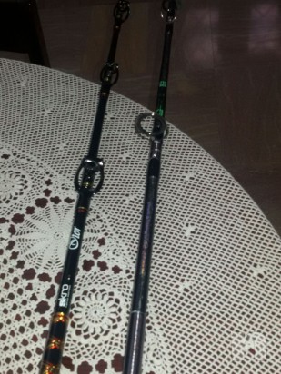 2 canne traina foto-10583