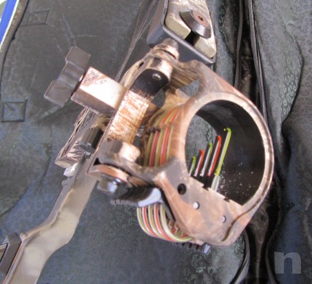 Arco compound  70 libbre foto-10593