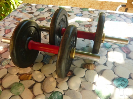 Copia  pesi  foto-6009