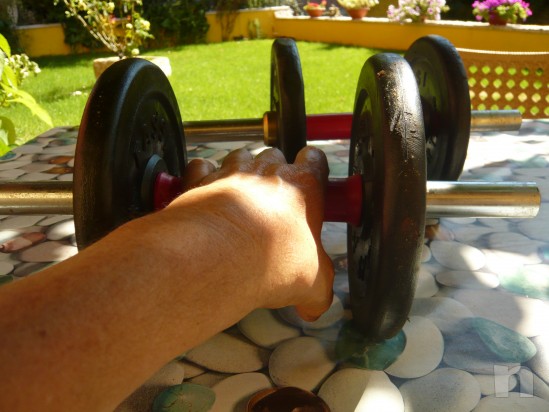 Copia  pesi  foto-10730