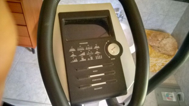 Ellittica atala foto-10734