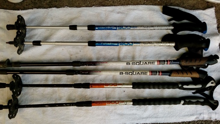 Bastoni per sci foto-6119