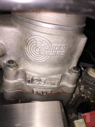 Vendo gokart 125 con accensione elettronica foto-11219