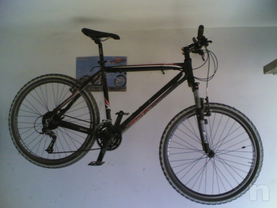 BOTTECCHIA foto-6335