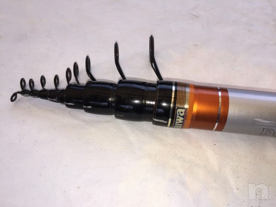 Canna Bolo "TEAM DAIWA" 7MT foto-804