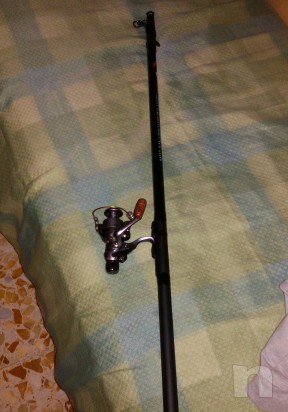 Canna semi professionale  foto-6478