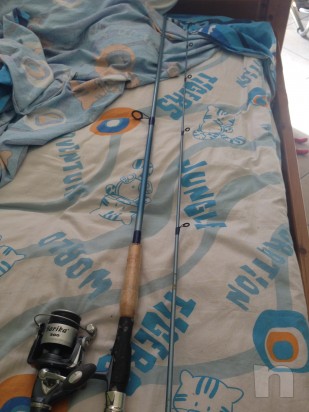 Canna pesca  foto-11528