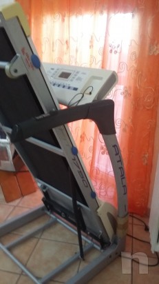 Tapirula  atala foto-11576