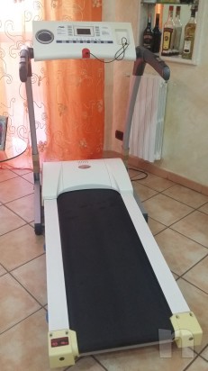 Tapirula  atala foto-6506