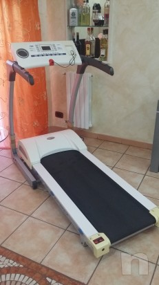 Taurina atala foto-6508