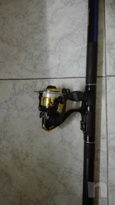 canna da pesca bolognese Tubertini foto-11588