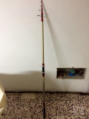 Canna Daiwa surf casting  foto-6583