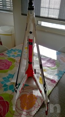 telaio bici da corsa foto-11984