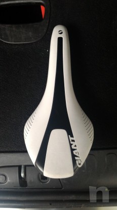 Sella giant foto-6758