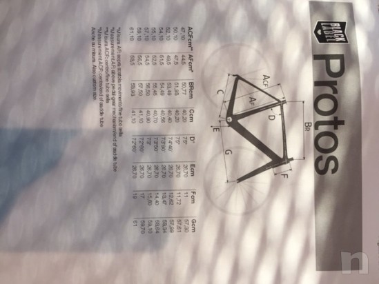 VENDO TELAIO DE ROSA PROTOS foto-12039