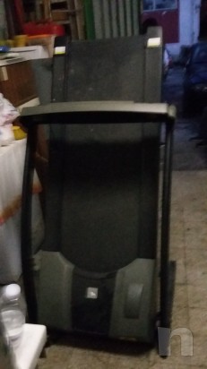 Tapirulan foto-12324