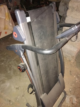 Tapirulan perfettamente funzionante foto-6912