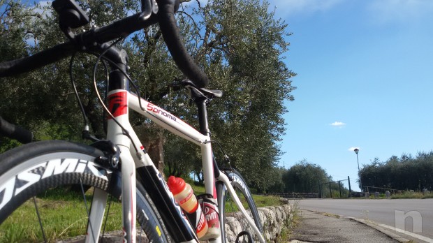 full carbon foto-12453