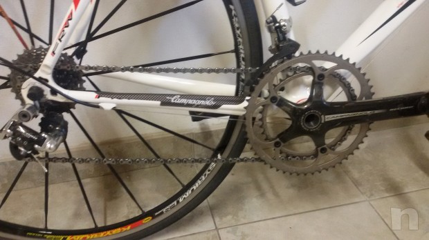 full carbon foto-12451