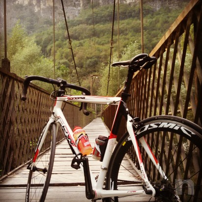 full carbon foto-12452