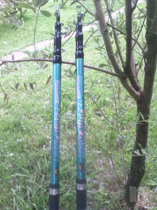 Serra Barracuda foto-698