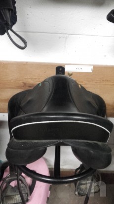 vendo sella da salto appaloosa misura 15  foto-12532