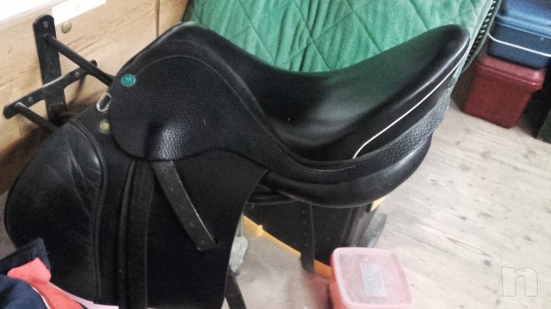 vendo sella da salto appaloosa misura 15  foto-12531