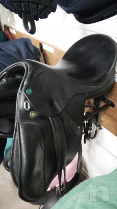 vendo sella da salto appaloosa misura 15  foto-7002