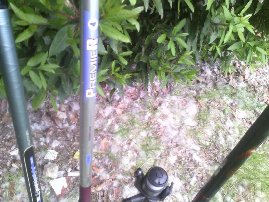 Trota - ledgering  foto-847