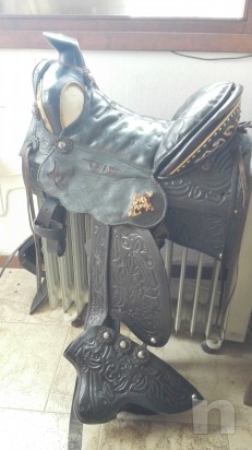 Sella americana foto-7033