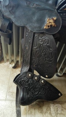 Sella americana foto-12592