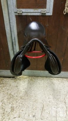 Sella Master da salto misura 17 foto-12629