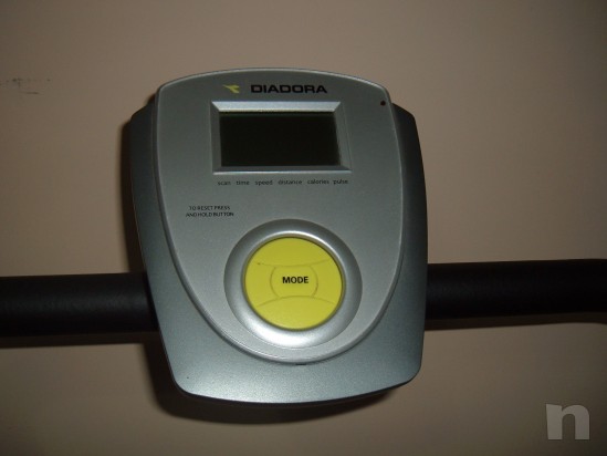 Tapirula e vogatore foto-12806