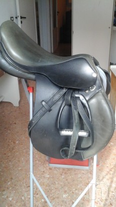 Sella Pessoa Vendo foto-13466