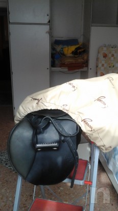 Sella Pessoa Vendo foto-7491