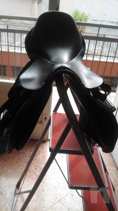 Sella Pessoa Vendo foto-13468