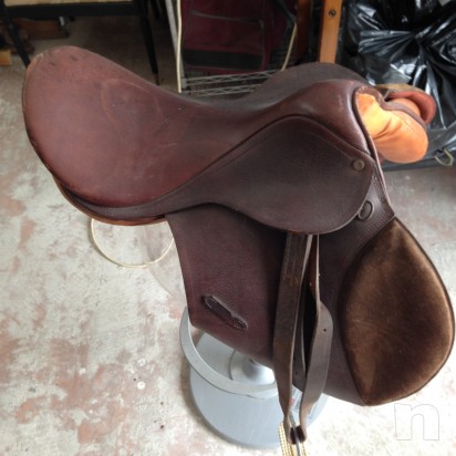 sella monta all'inglese foto-7543