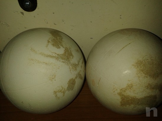 bocce da bocciodromo foto-13618