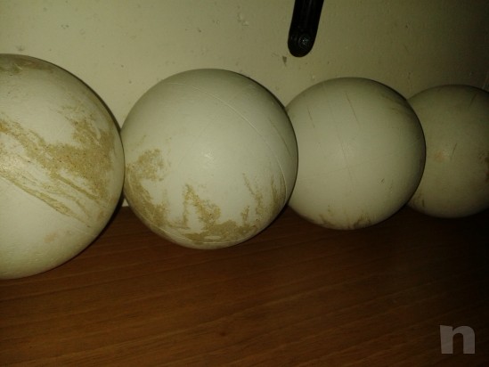 bocce da bocciodromo foto-7587