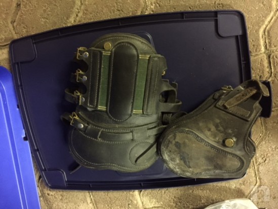 stinchiere varie foto-14167