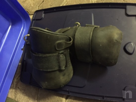 stinchiere varie foto-14165