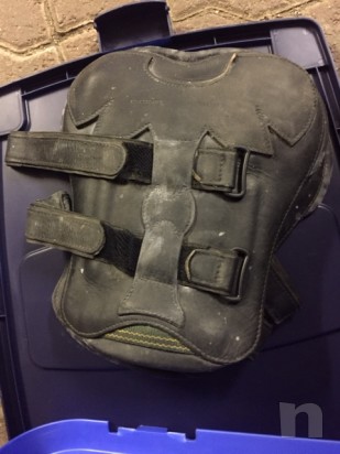 stinchiere varie foto-7859