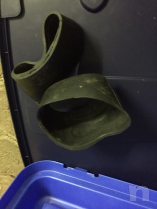 stinchiere varie foto-14164