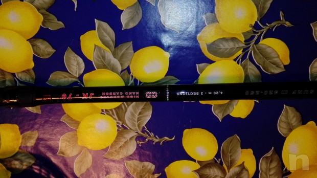 Molinelli scepter9000 foto-14391