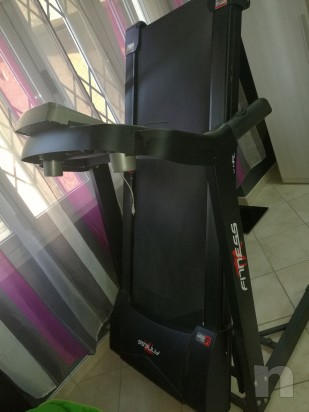 Tapiroulant foto-8004