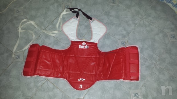 Corazza taekwondo foto-8019