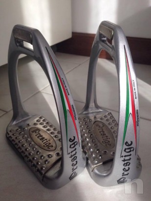 Staffe Prestige MG foto-8083