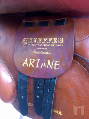 sella da salto Kieffer  foto-14611