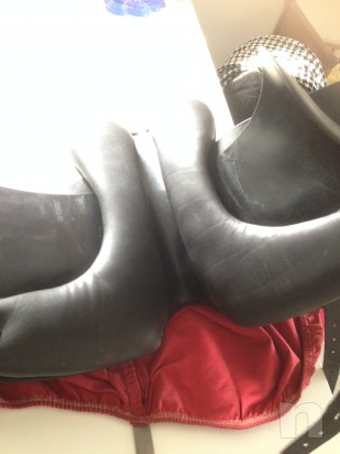 SELLA DRESSAGE EQUIPE foto-14616