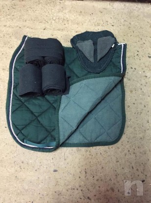 SOTTOSELLA DRESSAGE foto-14620